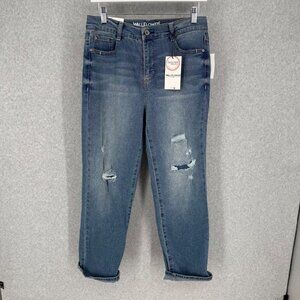 Wallflower Fearless Curvy Super High Rise Straight Leg Jean Size 28 VTG Wash NEW